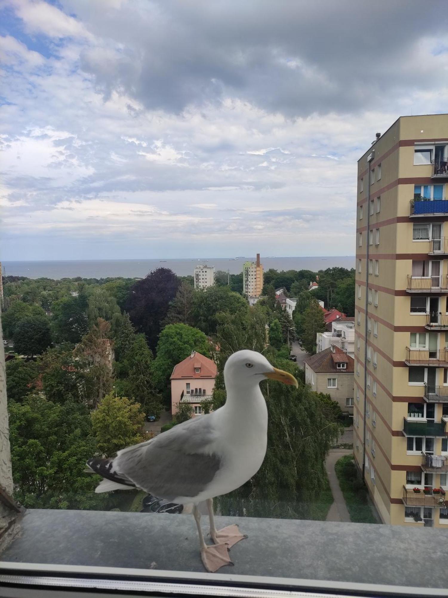 شقة Apartament Widokowo سوبوت المظهر الخارجي الصورة